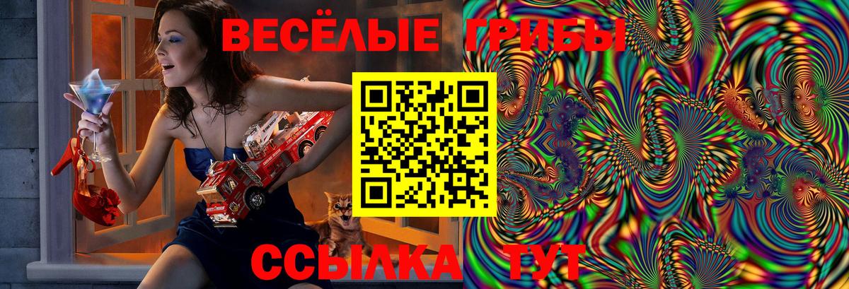 Строитель  Галлюциногенные грибы Cubensis  Вход с VPN 